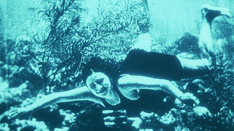 Archipels Nitrate_poster