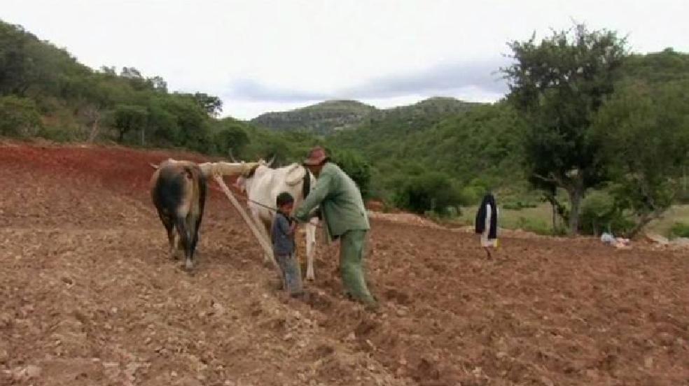 Les Héritiers (Los Herederos)