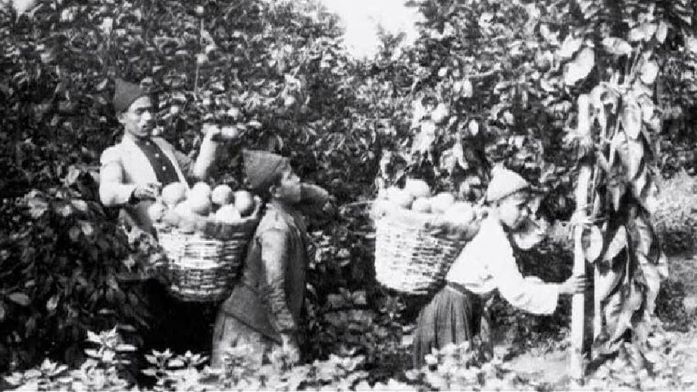 Le Journal d'une orange